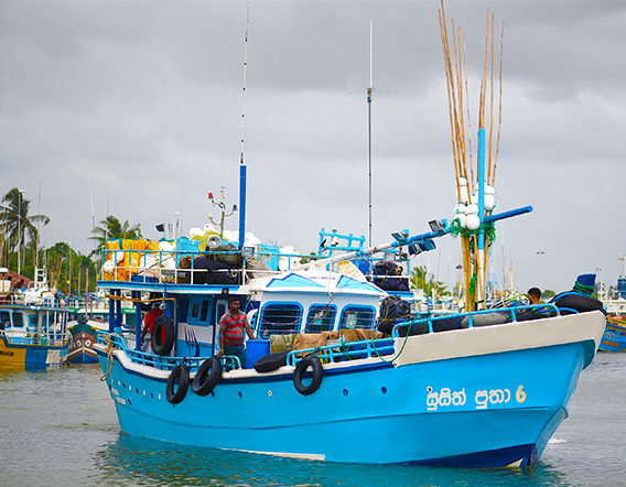 MULTI DAY BOATS